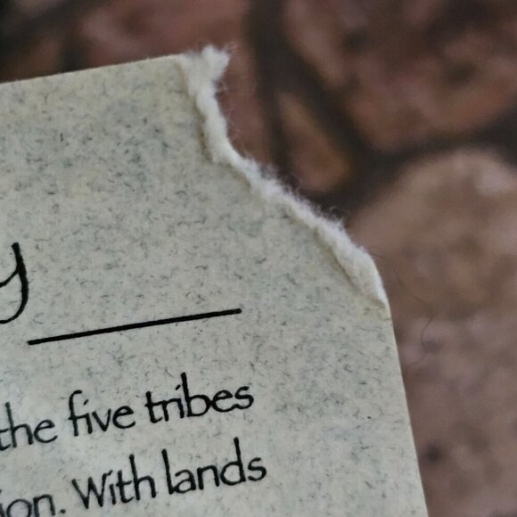 Vintage 1998 Sandy Dolls Native American Series Doll With Tag - Picture 7 of 13